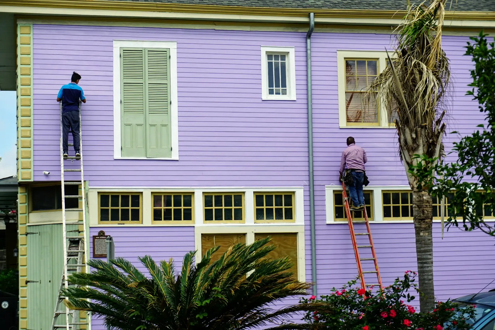 Maler zieht mit der Rolle frische Farbe über eine Wand